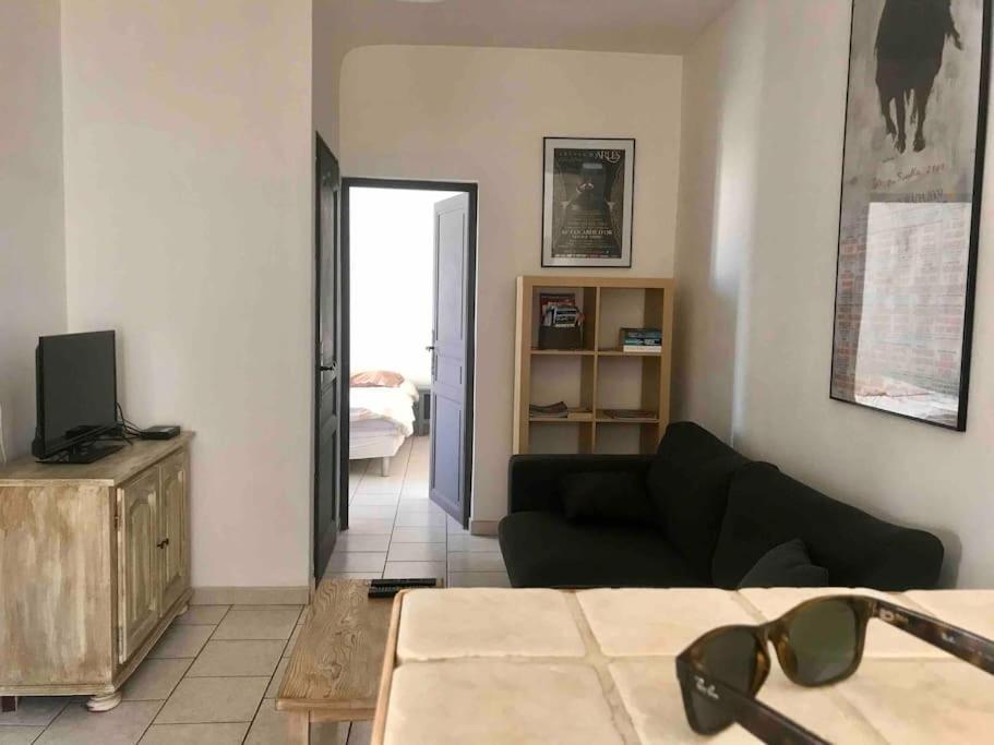 Appartement Face Aux Arenes Arlés Exterior foto