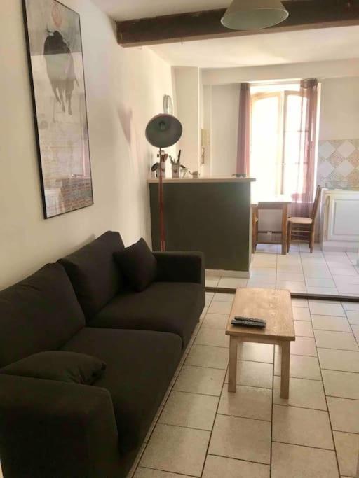 Appartement Face Aux Arenes Arlés Exterior foto